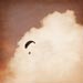 Para-glider high in the clouds